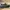 VANS Vintage Streetwear Sneakers Pria green black photo 1