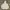 HAGT Fleece Pullover Hoodie