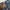 Y2K bke stella low waist flare bootcut denim jeans  photo 5