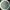 Tumbler Disney Stitch photo 5