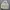 Windbreaker jacket Nike vntg photo 2