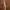 apple watch/iwatch se 2 ibox photo 2