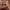 apple watch/iwatch se 2 ibox photo 3