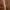 apple watch/iwatch se 2 ibox photo 1
