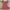 POMELO x HELLO KITTY dress gingham red tartan strawberry photo 5