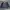 Jawin Thermal Jacket photo 2