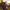 Oakley Gorpcore Futurist Bag Black icon 3.0 photo 10