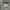 Beyond The Vines Carryall 03