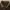 Polo Ralph Lauren Brown Polo Shirt photo 5
