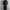 Elie Tahari 2012 Silk Leopard Trim Trench Dress photo 3