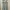 Shein Lolita Coquette Wanita green khaki photo 3
