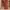 Shein Y2K Casual Maxi skirt Wanita red orange photo 4