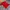 Carhartt Vintage T-shirt Pria red photo 8