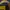 Longsleeve Cedric Diggory Harry Potter Official photo 9