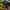 Longsleeve Cedric Diggory Harry Potter Official photo 7