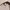 LE SPECS X NO PROBLEMO CYBORG SUNGLASSES photo 4