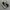 Converse CT 70 High photo 1