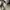 Hangten novachek shirt photo 9
