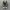 Converse CT 70 High photo 3
