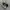 Converse CT 70 Love High photo 1