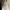 Arcteryx toque beanie black photo 6