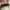 Converse CT 70 Carhartt Low photo 5