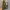 Converse CT 70 Carhartt Low photo 4