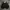 Hoodie Zipper champion Basic black  photo 1