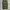 Japanese brand Vintage Streetwear Casual pants Pria green photo 1