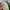 Japanese brand Vintage Streetwear Casual pants Pria green photo 8
