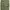 Japanese brand Vintage Streetwear Casual pants Pria green photo 5