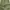 Japanese brand Vintage Streetwear Casual pants Pria green photo 2