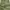Japanese Brand Vintage Streetwear Casual Pants Pria Green