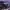 Y2K Reworked Hoody Pria purple photo 3