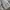 hoodie discovery gorpcore outdoor photo 4