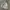 hoodie discovery gorpcore outdoor photo 1