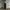 Topten Gorpcore Sweatpants & Joggers Pria black photo 1