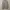 Adidas logo box photo 1