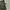 CARGO LONG PANTS type m65 IJO ARMY photo 8