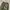 CARGO LONG PANTS type m65 IJO ARMY photo 7