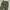 CARGO LONG PANTS type m65 IJO ARMY photo 4