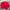 Sportswear Casual Track jacket Pria red photo 1