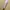 Minimalist Wanita cream photo 1