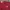 Cardigan Crop Not Your Company Maroon