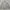 White Bear Casual Work Harrington Jacket photo 7