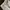Unigl0 Cargo Pants Cream Oversize Outdoor