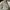 Unigl0 Cargo Pants Cream Oversize outdoor photo 8