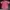 Pierre card1n casual shirt Pink regular fit  photo 4