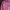 Pierre card1n casual shirt Pink regular fit  photo 1