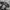 Dress Gothic Glad News Punk grunge Emo  photo 3